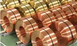 Brass Door Material